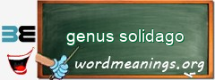 WordMeaning blackboard for genus solidago